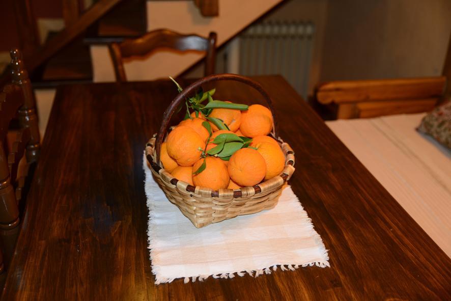 El Pilar Holiday home