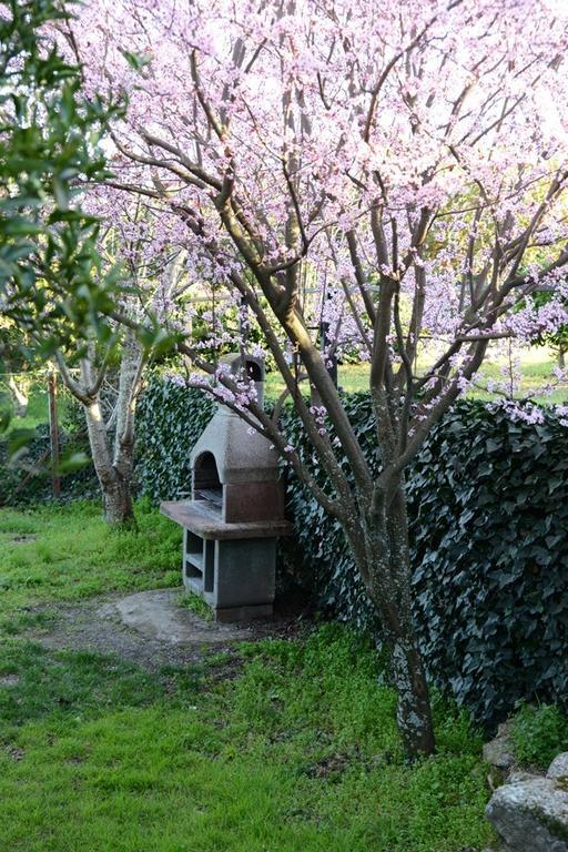 El Pilar Holiday home