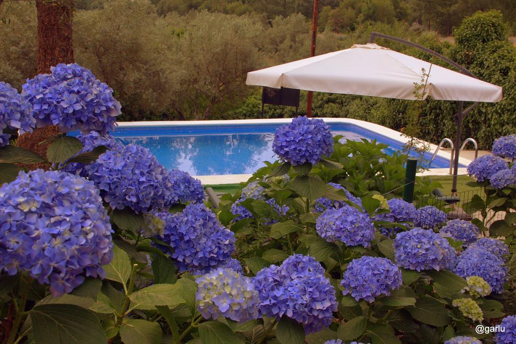 Holiday home El Pilar