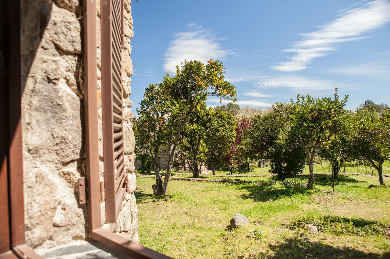 Сasa de vacaciones El Pilar *