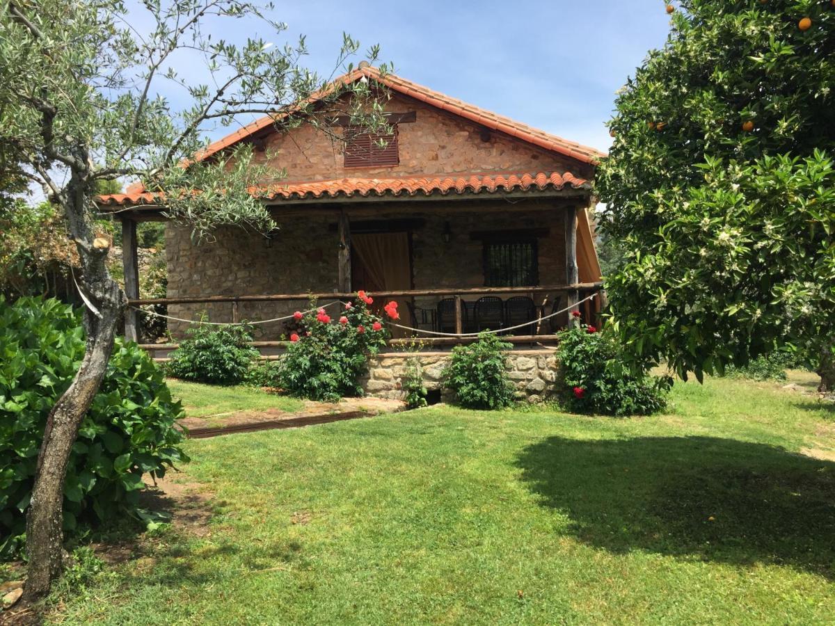 El Pilar Holiday home *